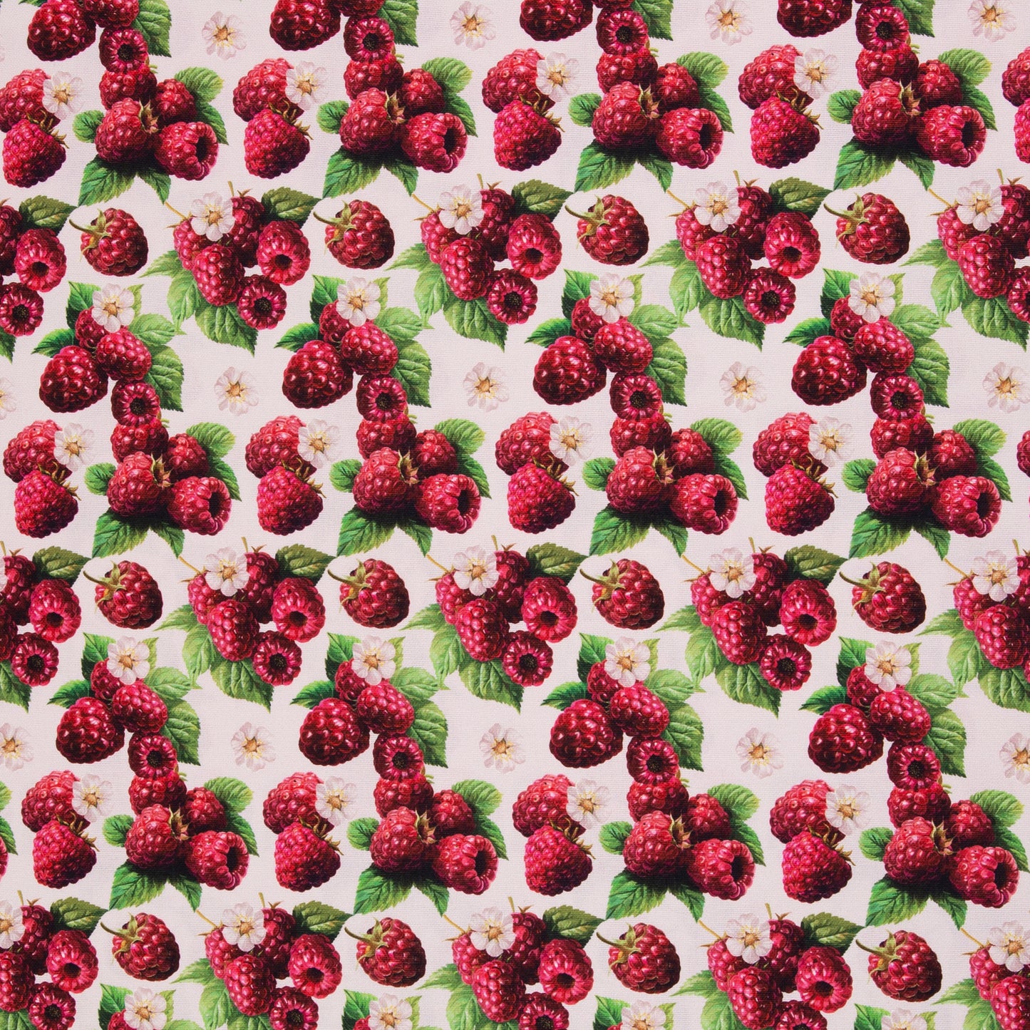 Canvas Fabric - Raspberries 230 g/m²