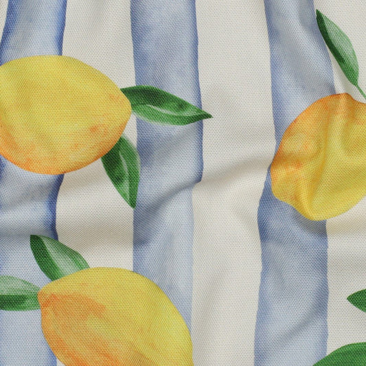 Image of canvas fabric - lemons 210 g/m² – available at Šarlotes audumi