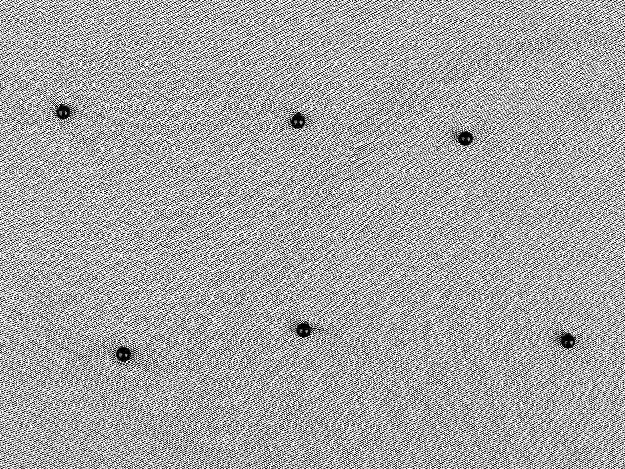 Image with fine tulle with pearls 36 g/m² - black – available at Šarlotes audumi
