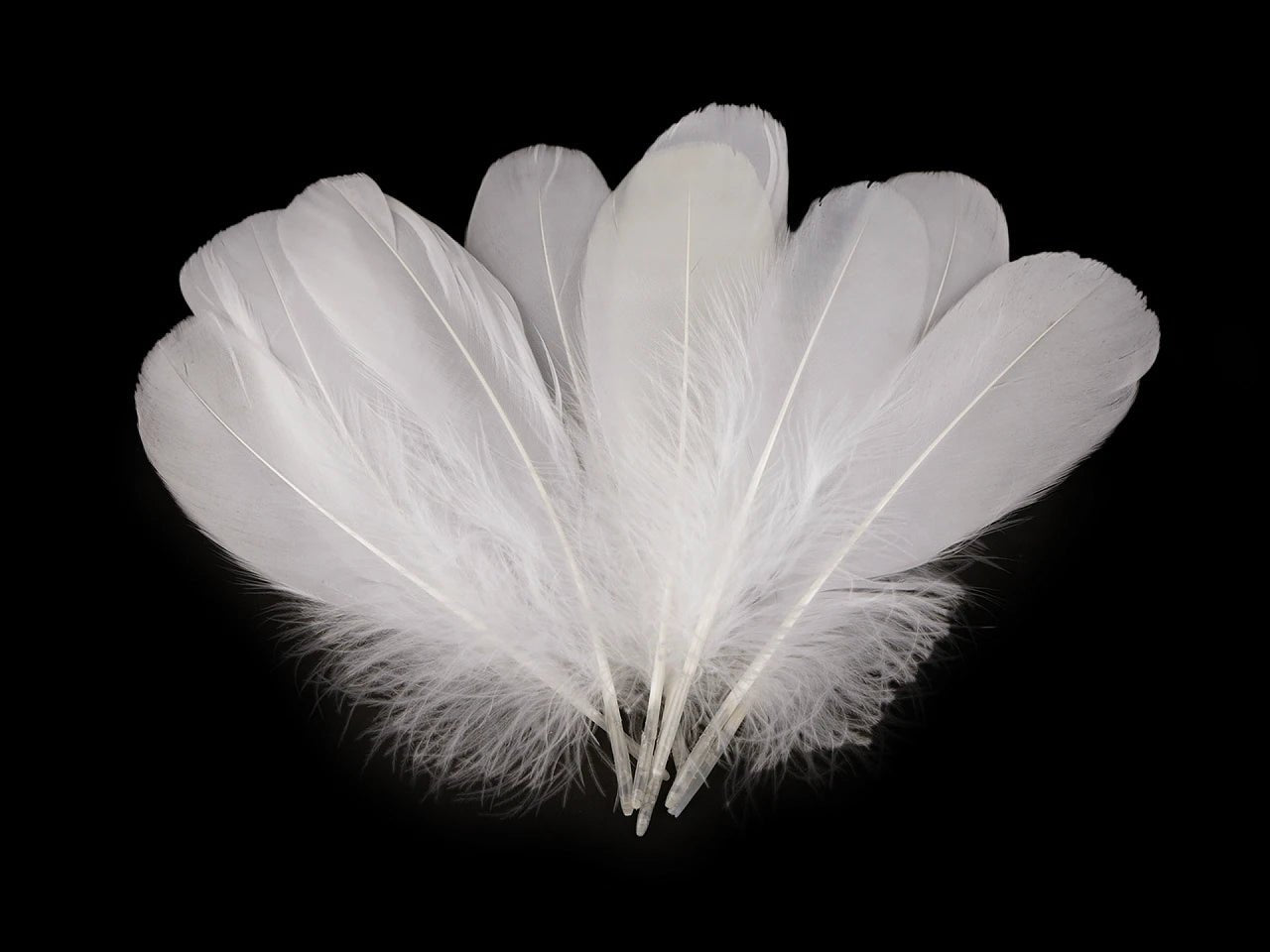 Goose feathers (14 - 18 cm) - white