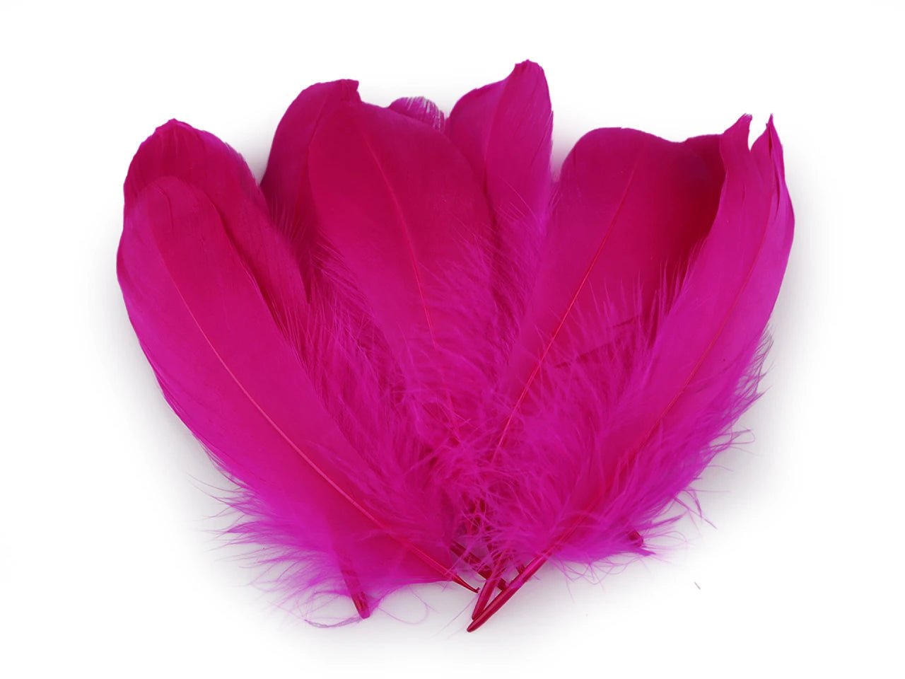 Goose feathers (14 - 18 cm) - fuchsia