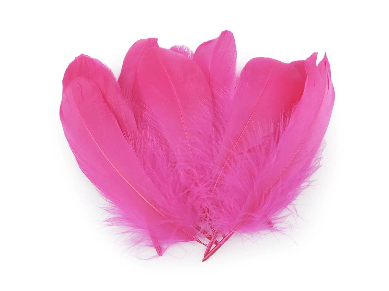Goose feathers (14 - 18 cm) - bright pink