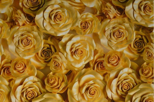 Viscose fabric - roses 100 g/m²