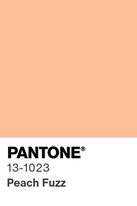 2024 color - Charlotte fabrics