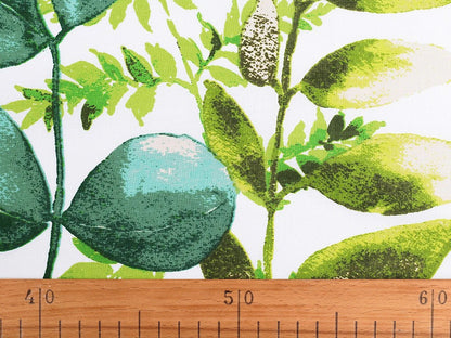 100% cotton eucalyptus fabric - available online at Charlotte's Fabrics