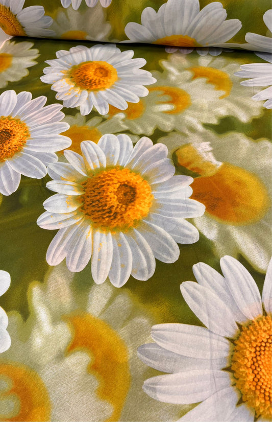Image of 100% cotton fabric - large daisies 220cm 130 g/m² – available at Šarlotes audumi