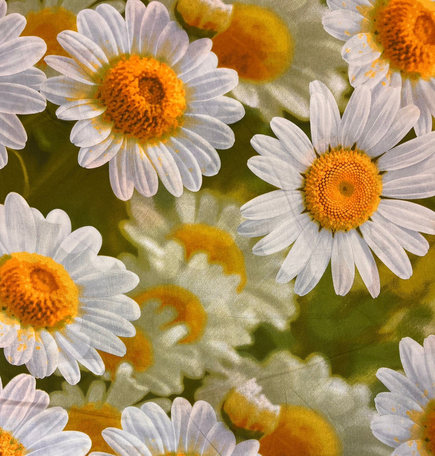 Image of 100% cotton fabric - large daisies 220cm 130 g/m² – available at Šarlotes audumi