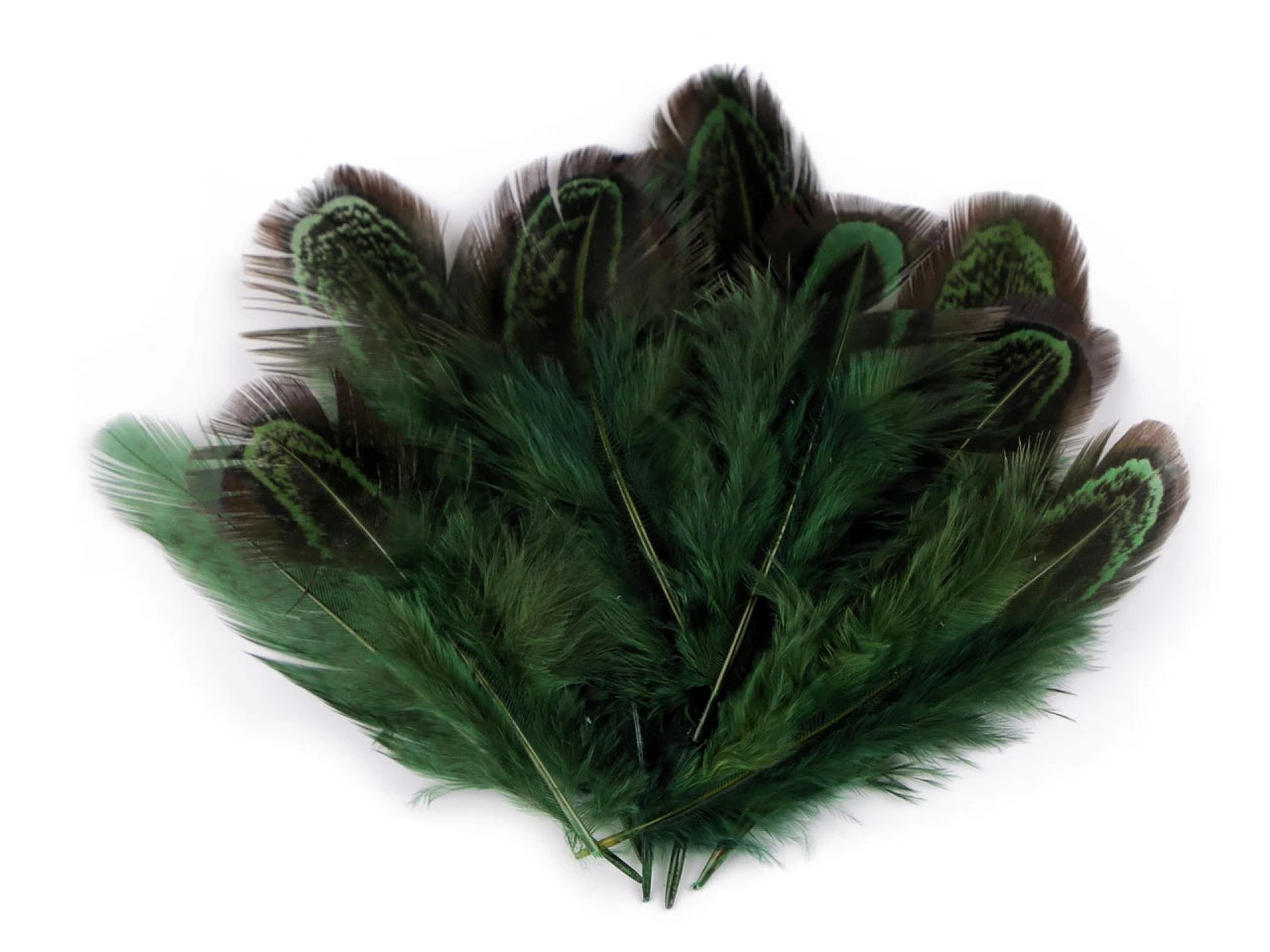 Pheasant feathers 5–7 cm – decorative natural feathers|various shades
