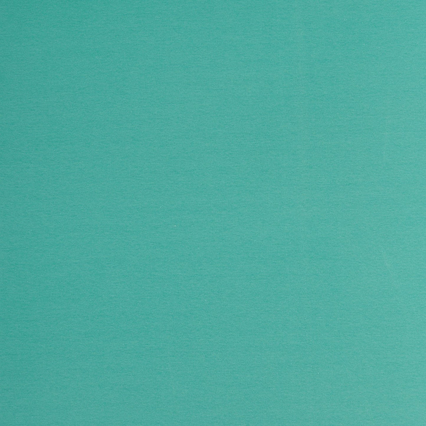 Fabric finishing edge | cuff - mint 240 g/m²