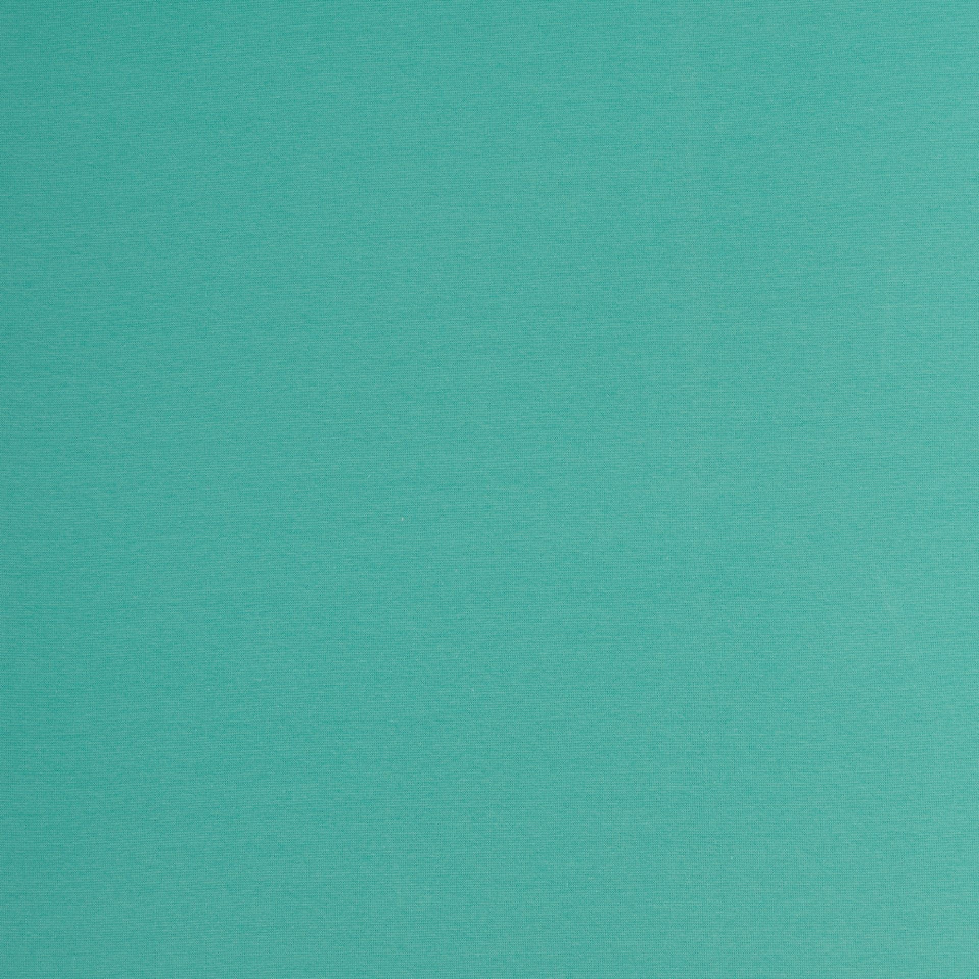 Fabric finishing edge | cuff - mint 240 g/m²