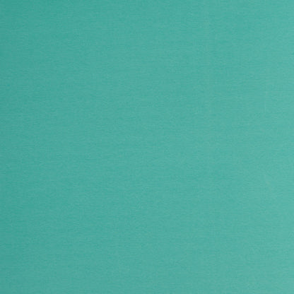 Fabric finishing edge | cuff - mint 240 g/m²