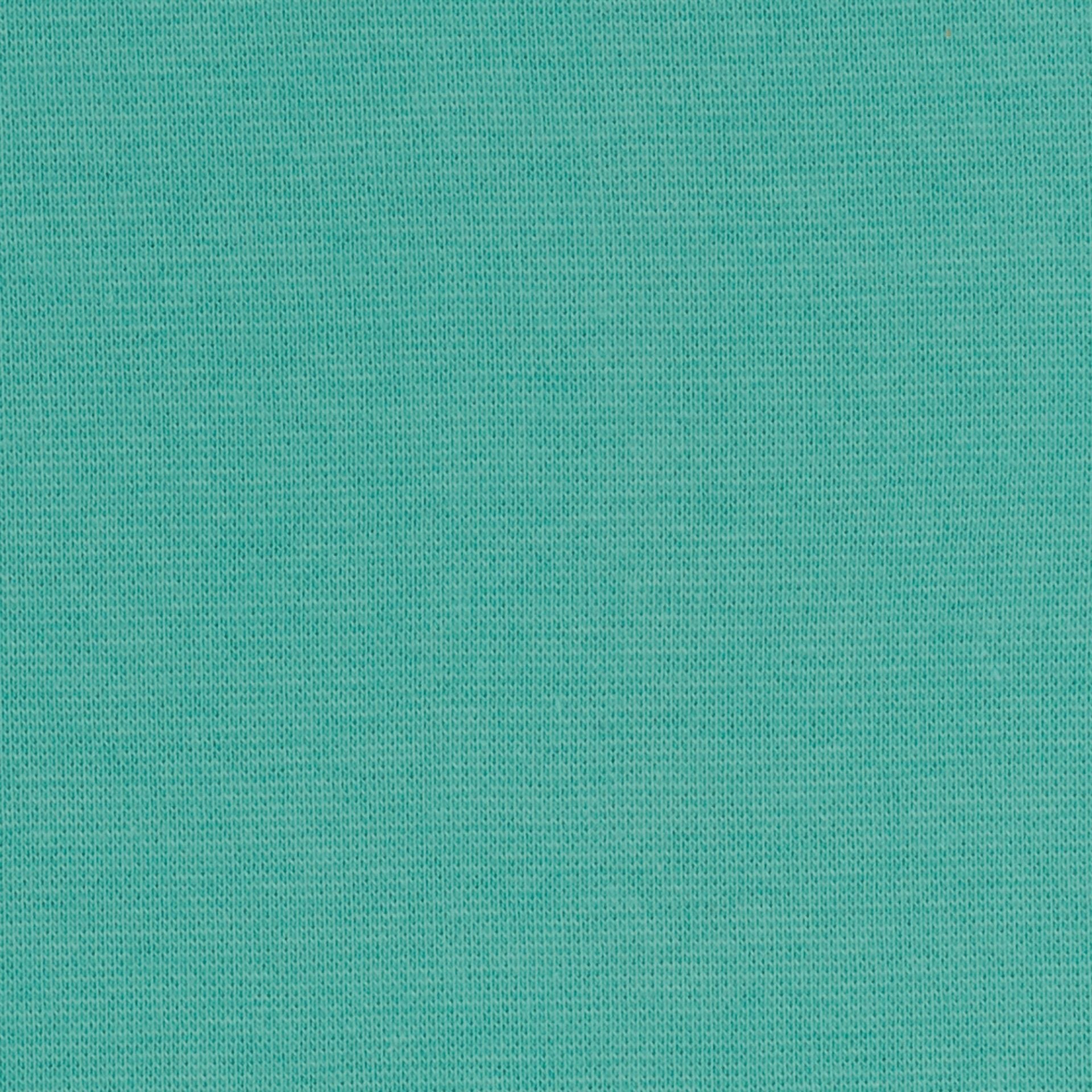 Fabric finishing edge | cuff - mint 240 g/m²