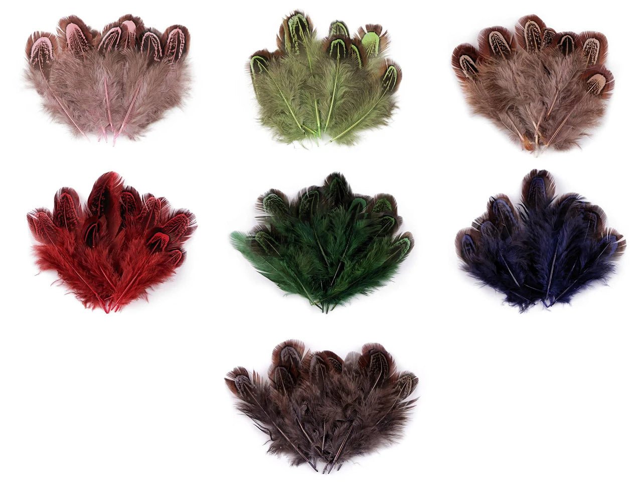 Image of pheasant feathers 5–7 cm – decorative natural feathers|assorted shades – available at Šarlotes audumi