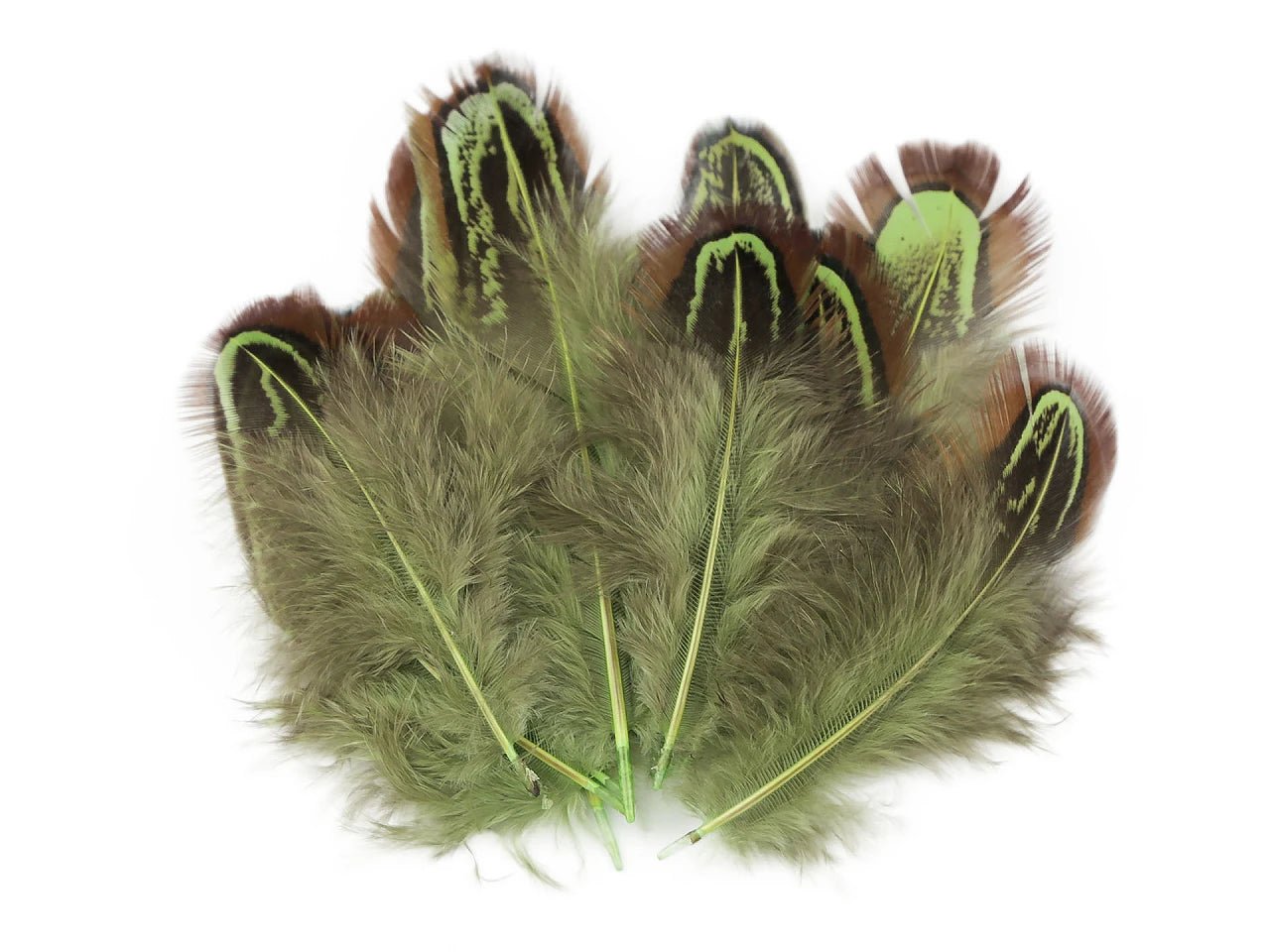 Image with pheasant feathers 5–7 cm – decorative natural feathers|various shades – available at Charlotte Fabrics