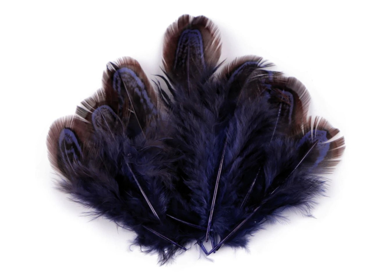 Image of pheasant feathers 5–7 cm – decorative natural feathers|various shades – available at Charlotte’s Fabrics