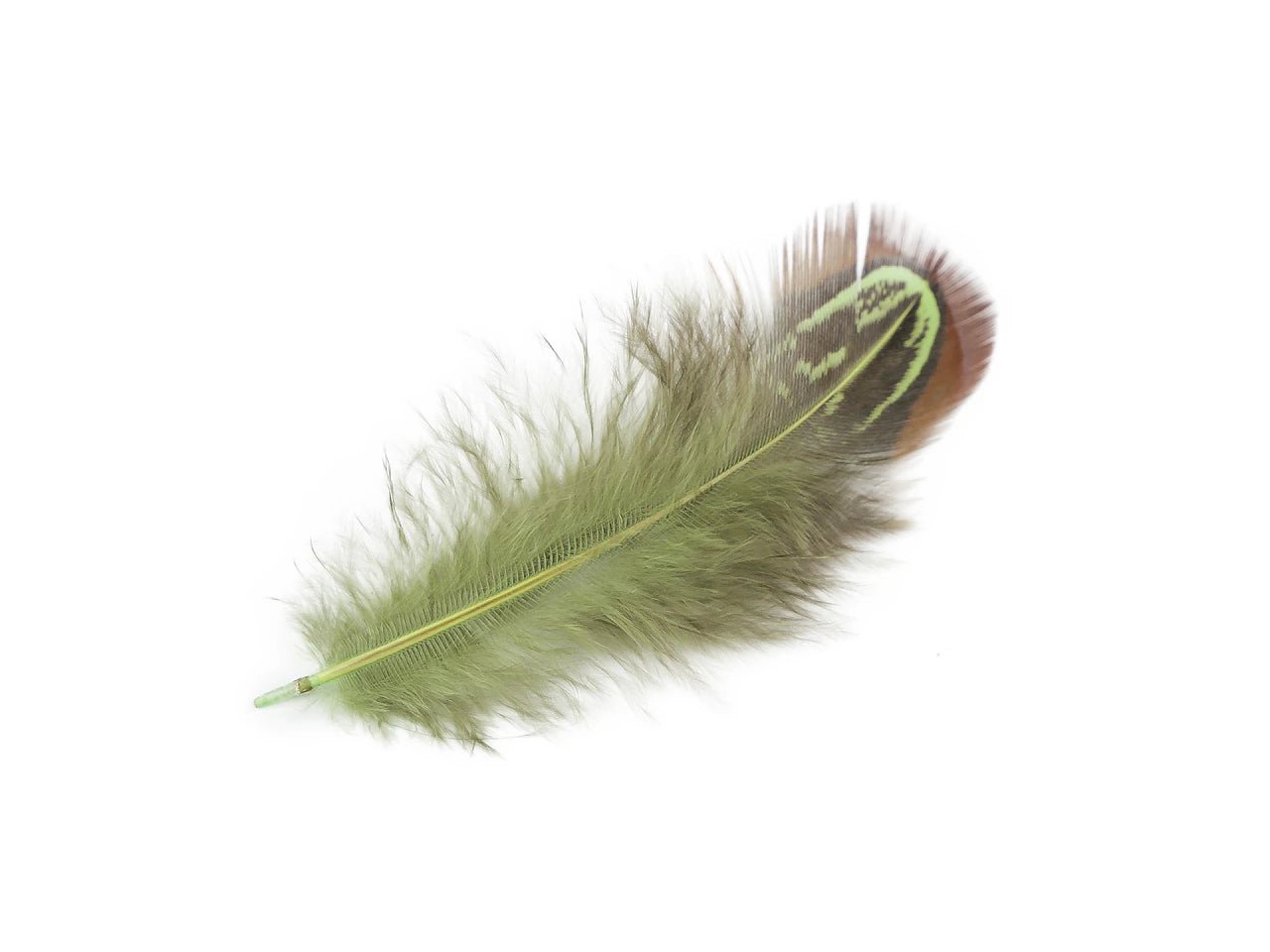 Image with pheasant feathers 5–7 cm – decorative natural feathers | various shades – available at Charlotte Fabrics