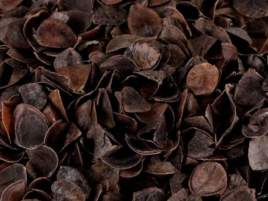 Buckwheat husks |Pillow and toy filling 1 kg