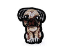 Pug dog