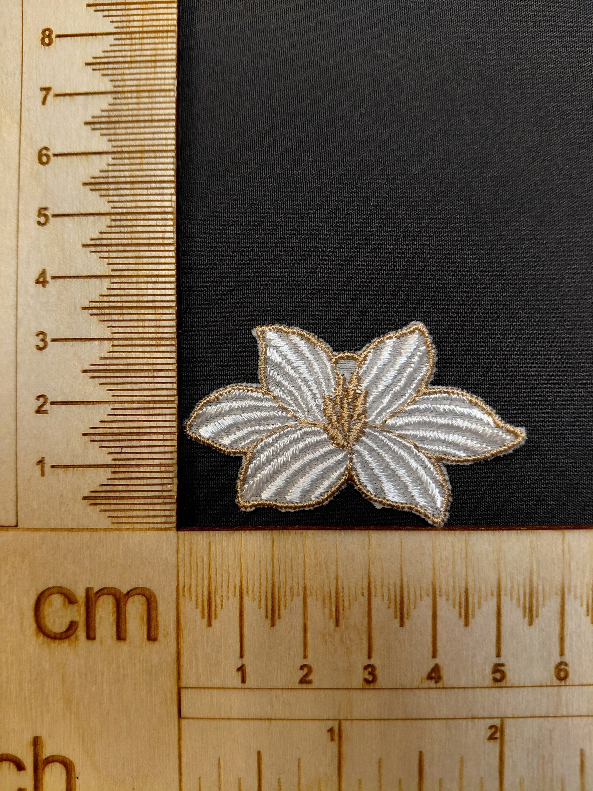 Image with patch/embroidery, 5 x 3 cm – available from Šarlotes audumi