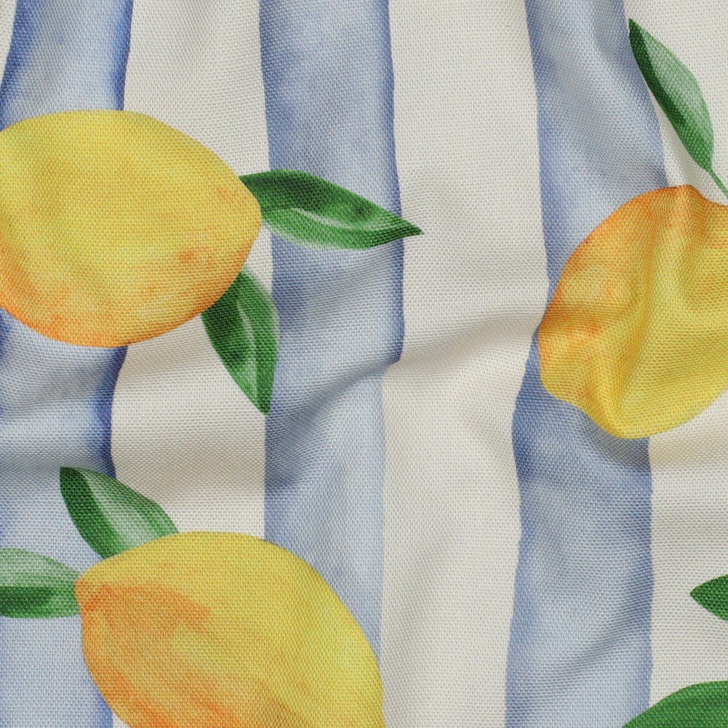 Image of canvas fabric - lemons 210 g/m² – available at Šarlotes audumi
