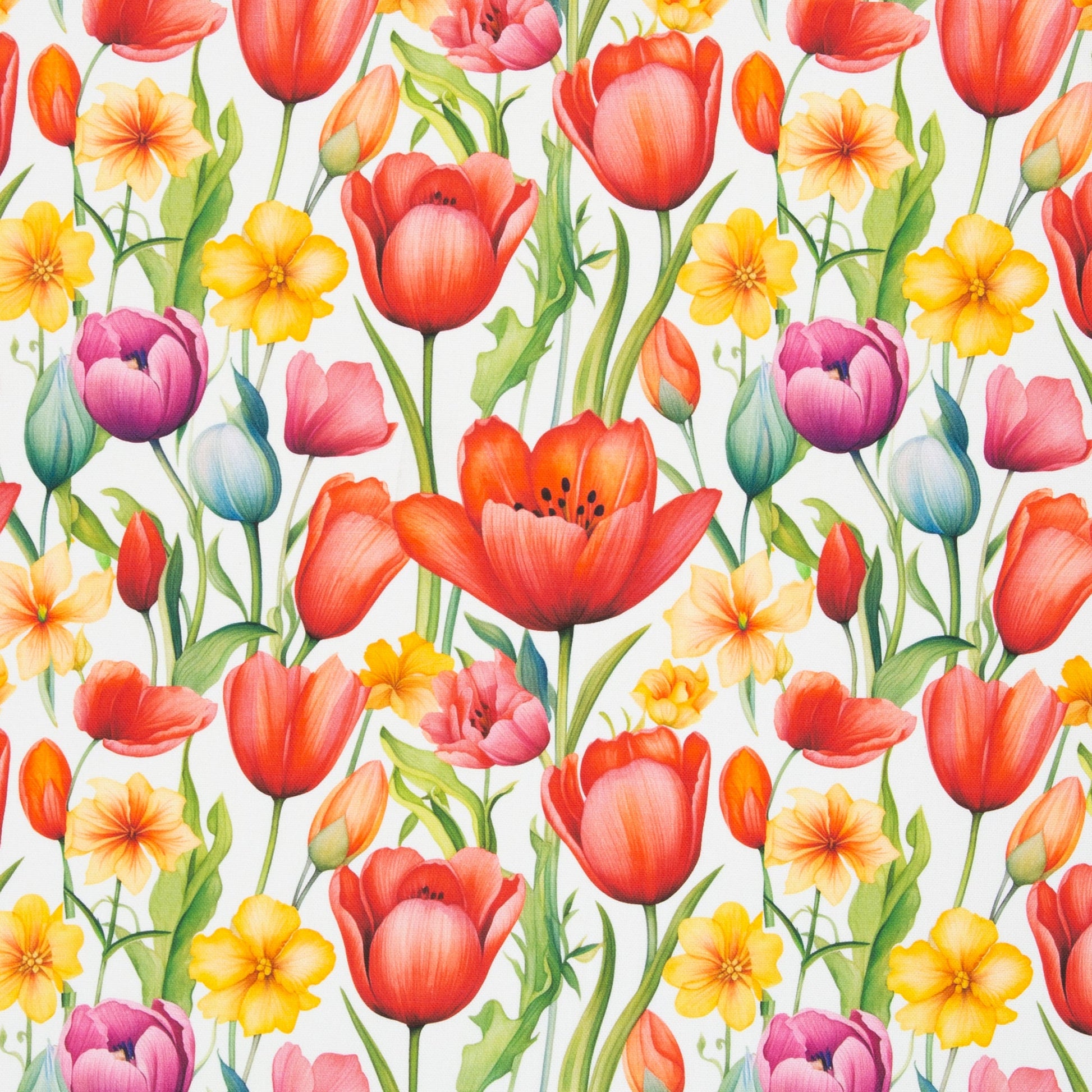 canvas fabric - tulips 210 g/m²