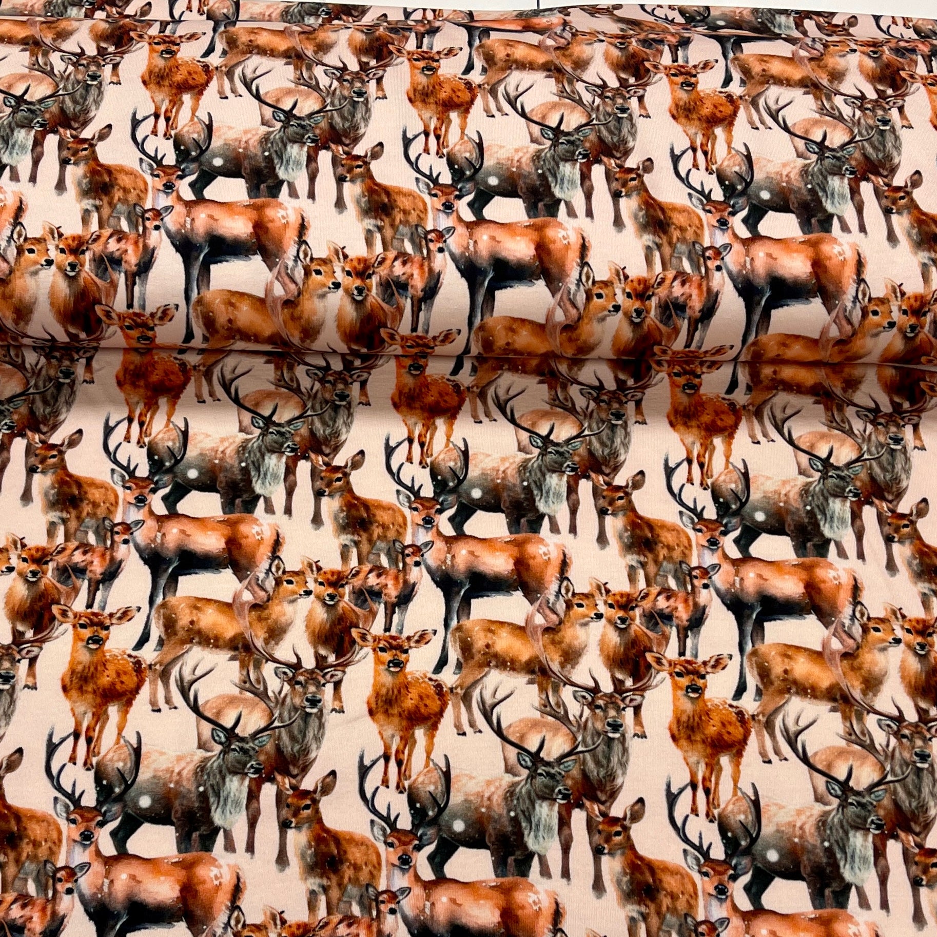 Cotton loop knit - deer family 250 g/m²