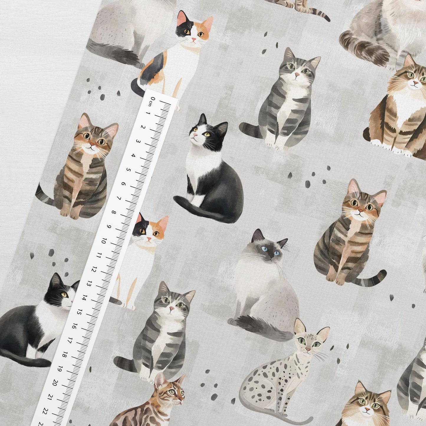 Cotton loopback knit cat on a gray background – available online at Charlotte Fabrics