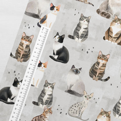Cotton loopback knit cat on a gray background – available online at Charlotte Fabrics