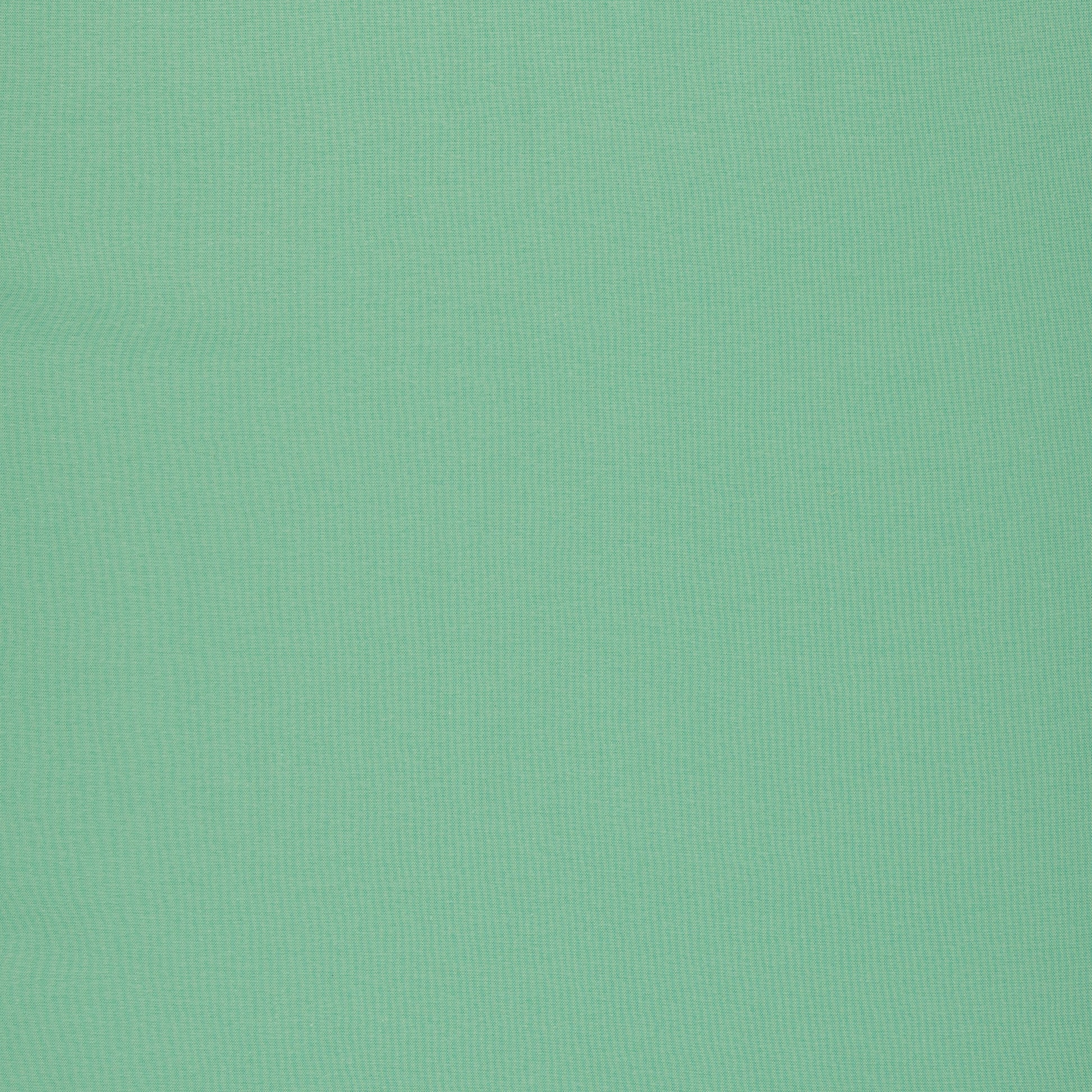 Cotton loopback knit - mint 235 g/m²