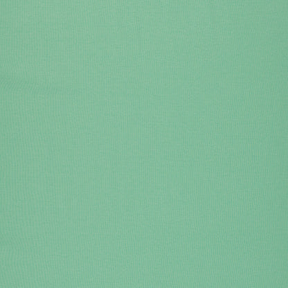 Cotton loopback knit - mint 235 g/m²