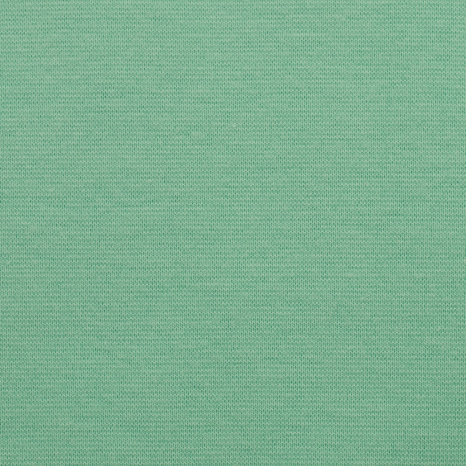 Cotton loopback jersey - mint 235 g/m²