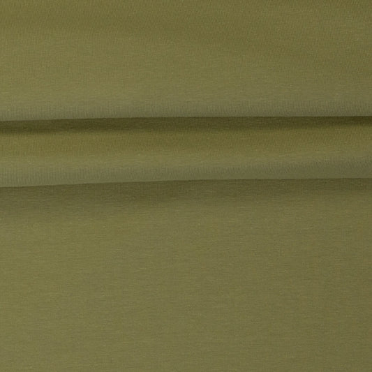 Attēls ar Kokvilnas cilpiņtrikotāža-pistāciju zaļais 230 g/m² – pieejams internetā Šarlotes audumi