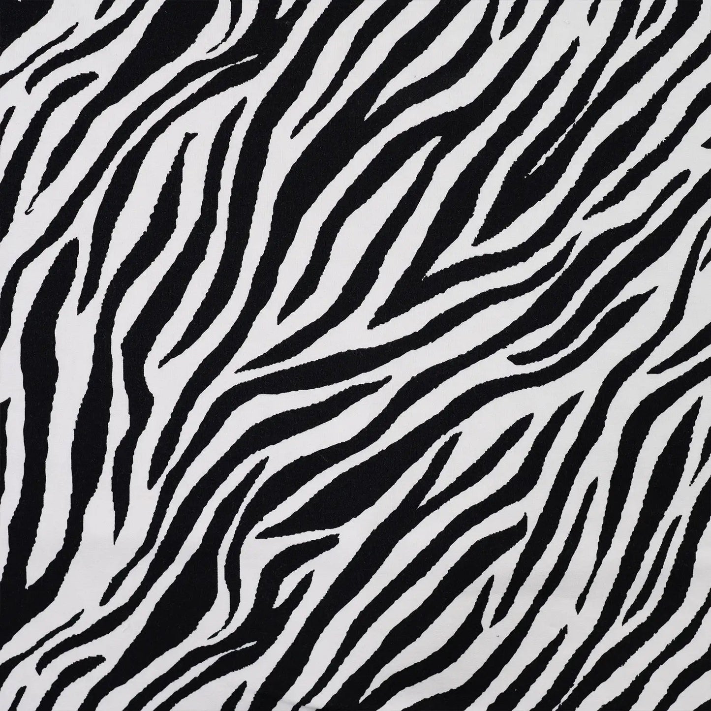 Image of cotton loop knit - zebra 230 g/m² – available at Šarlotes audumi