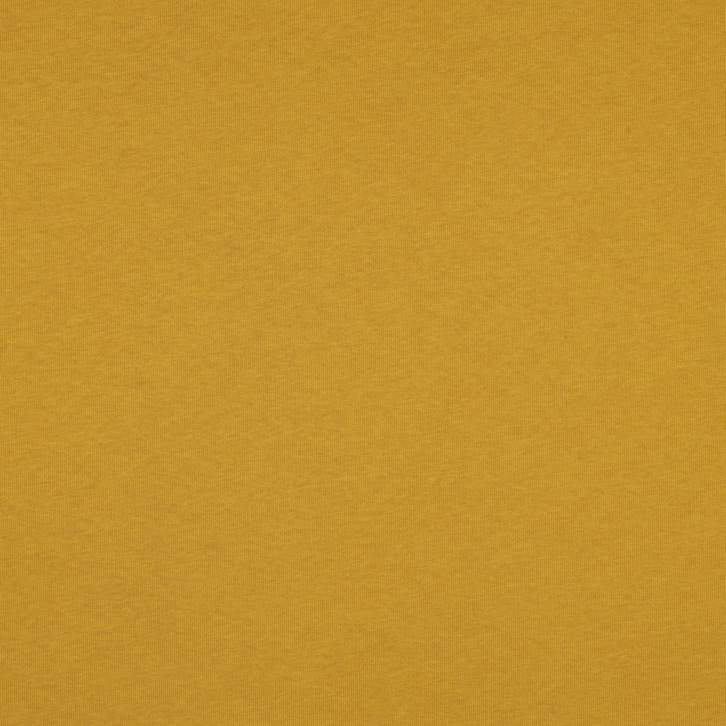Warm cotton jersey - mustard 285 g/m²