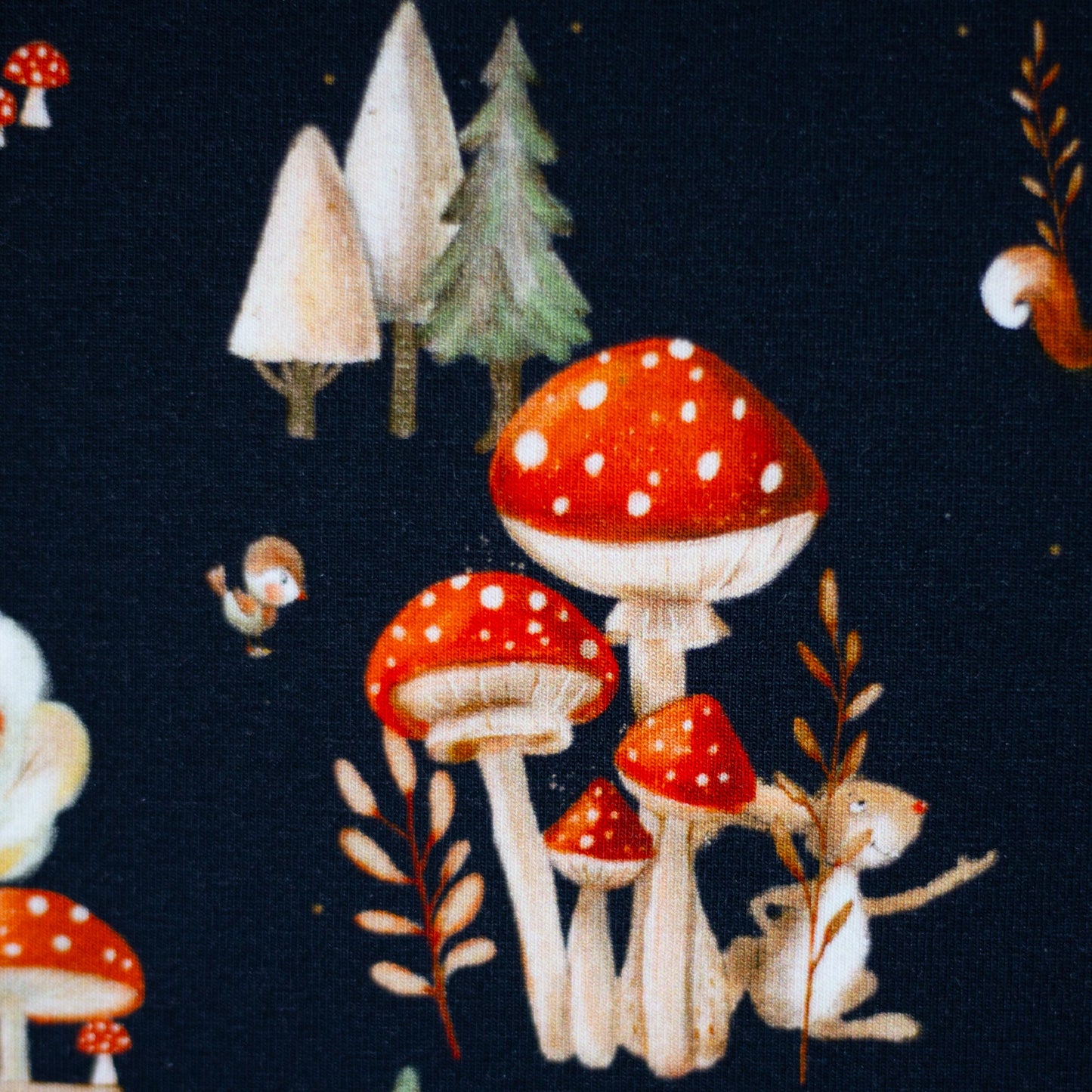 Cotton jersey - mushrooms 200 g/m²