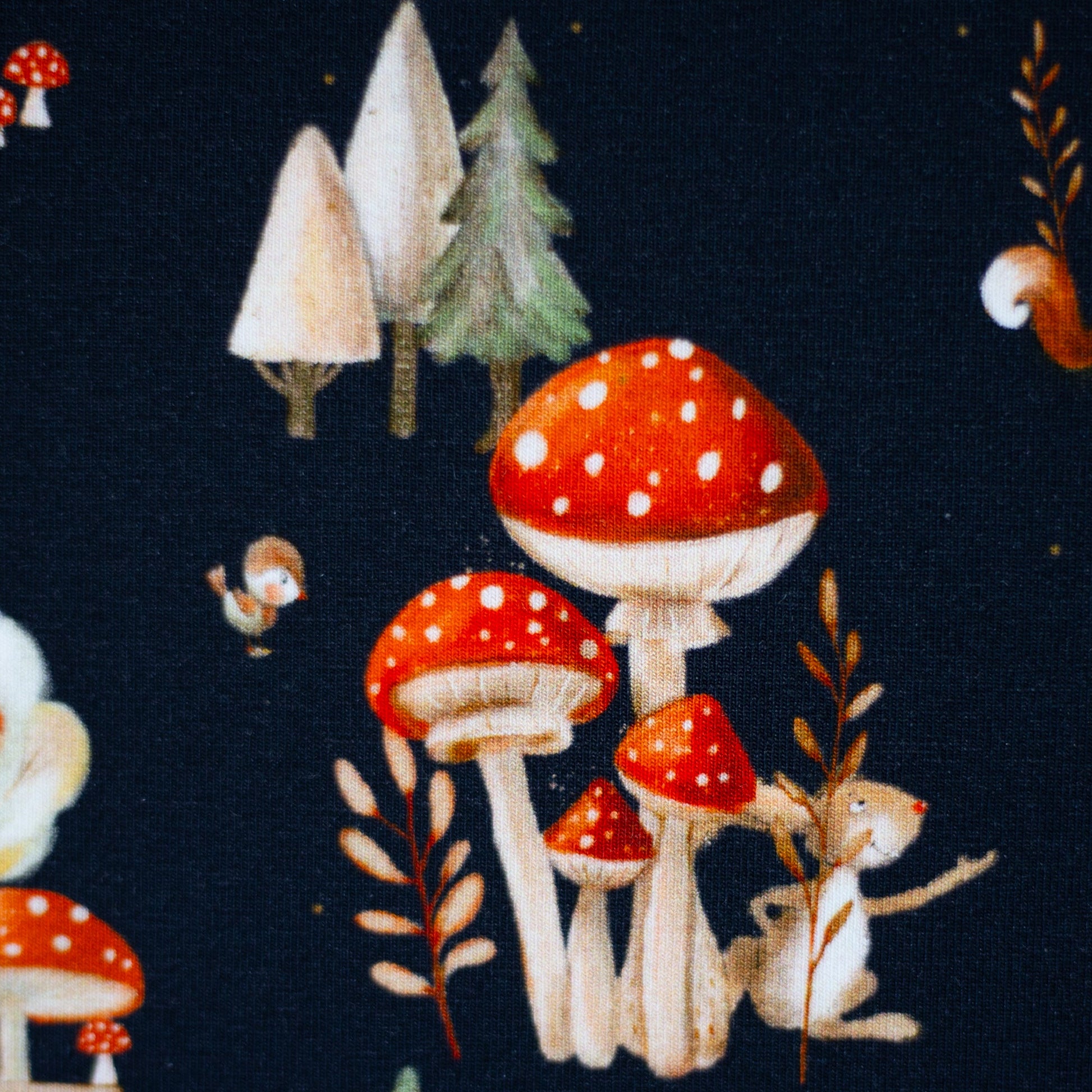 Cotton jersey - mushrooms 200 g/m²