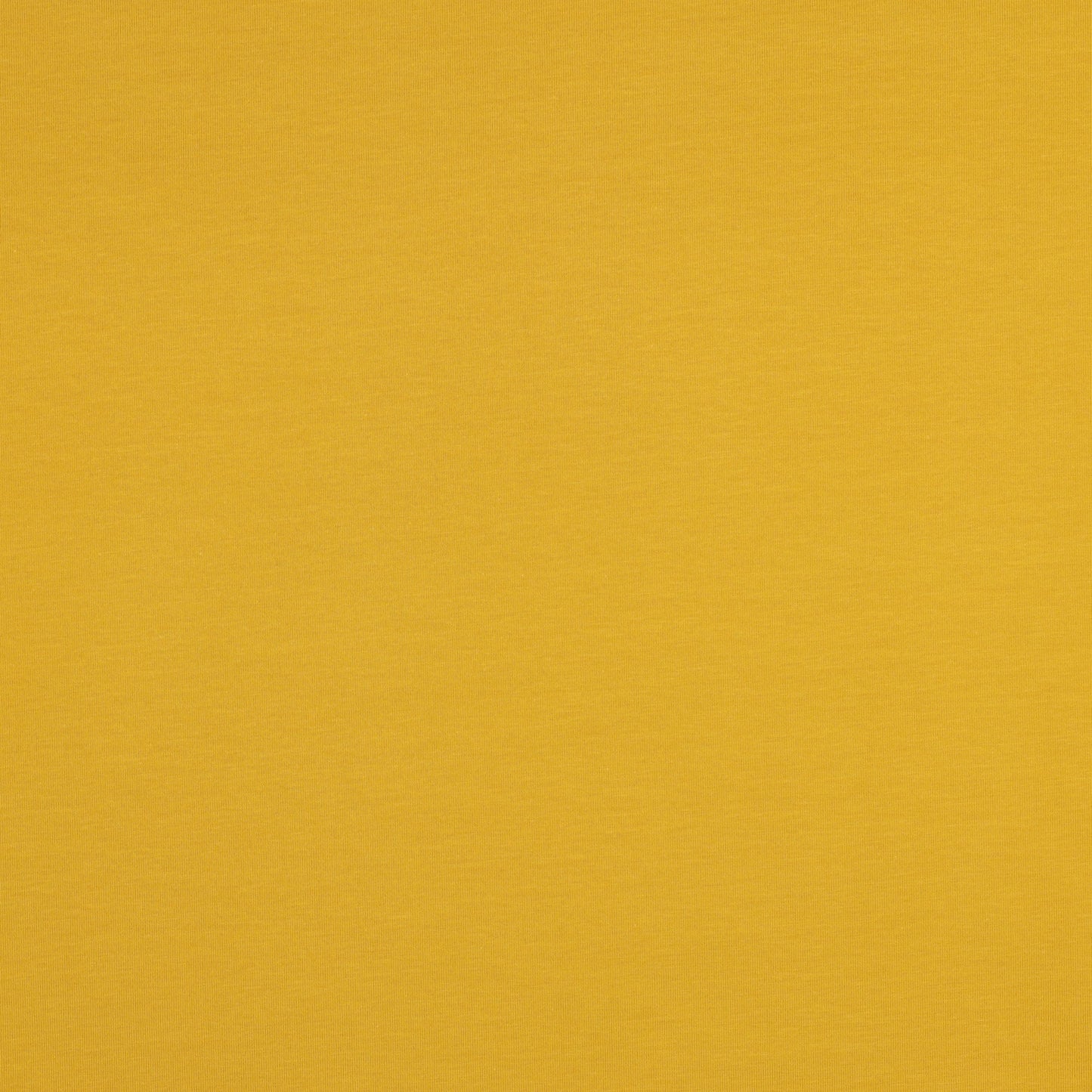 Cotton jersey - mustard 215 g/m²