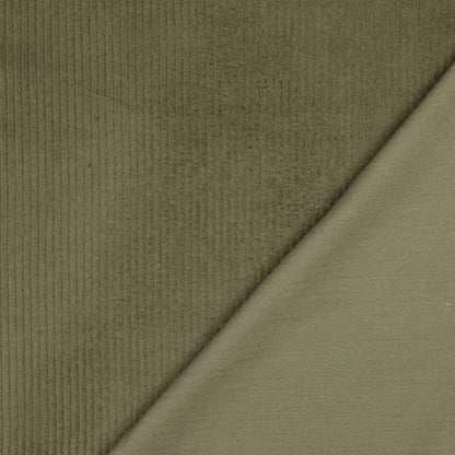 Image of cotton velvet - moss green 280 g/m² – available at Charlotte's Fabrics
