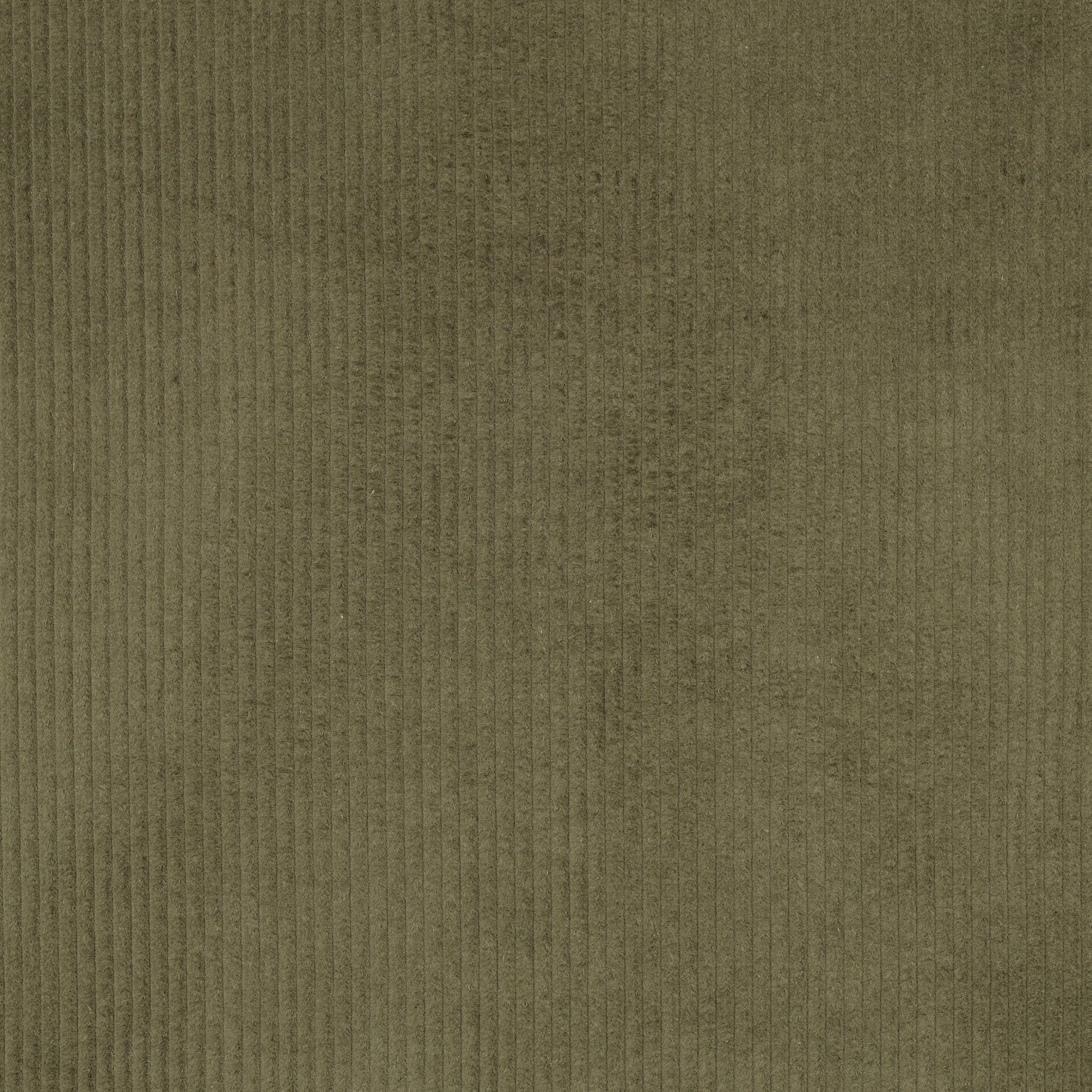 Image of cotton corduroy - moss green 280 g/m² – available at Šarlotes audumi