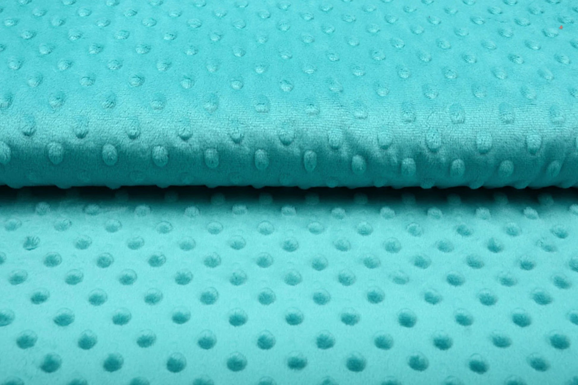 Minky fleece - aqua 260 g/m²