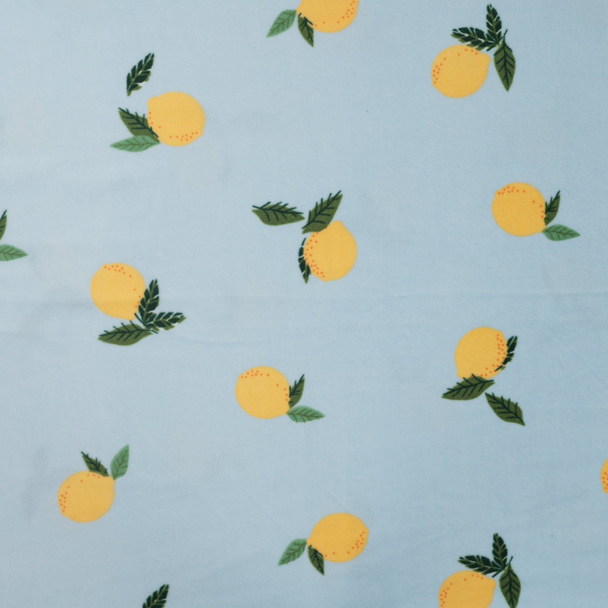 Image with Minky fleece (smooth) - lemons 220 g/m² – available at Šarlotes audumi