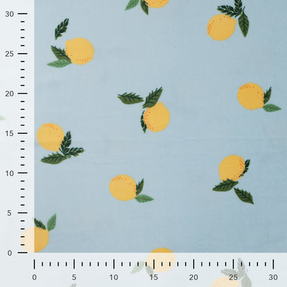 Image of Minky fleece (smooth) - lemons 220 g/m² – available at Šarlotes audumi