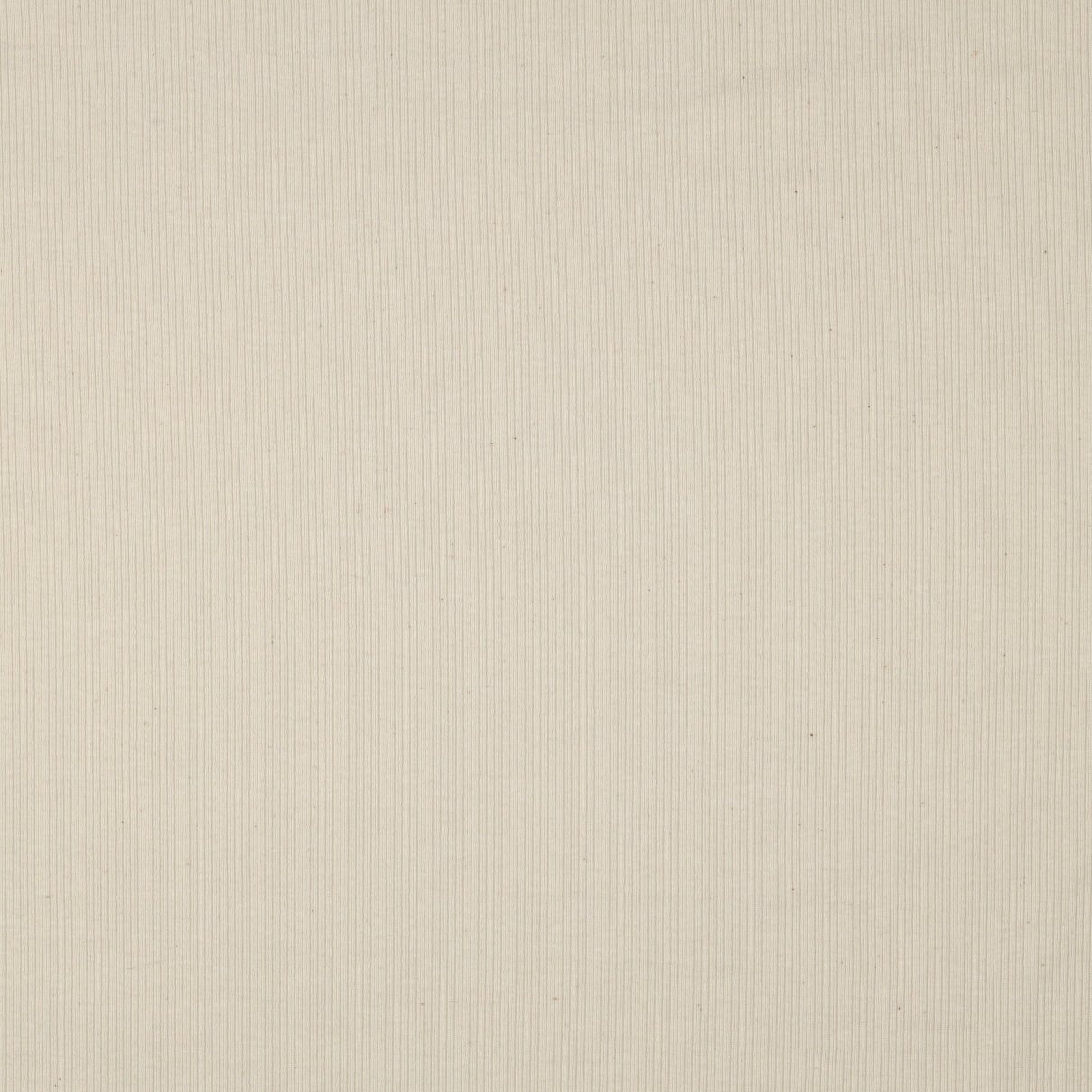 Ribbed cotton jersey (RIB JERSEY) - natural, unbleached 240 g/m²