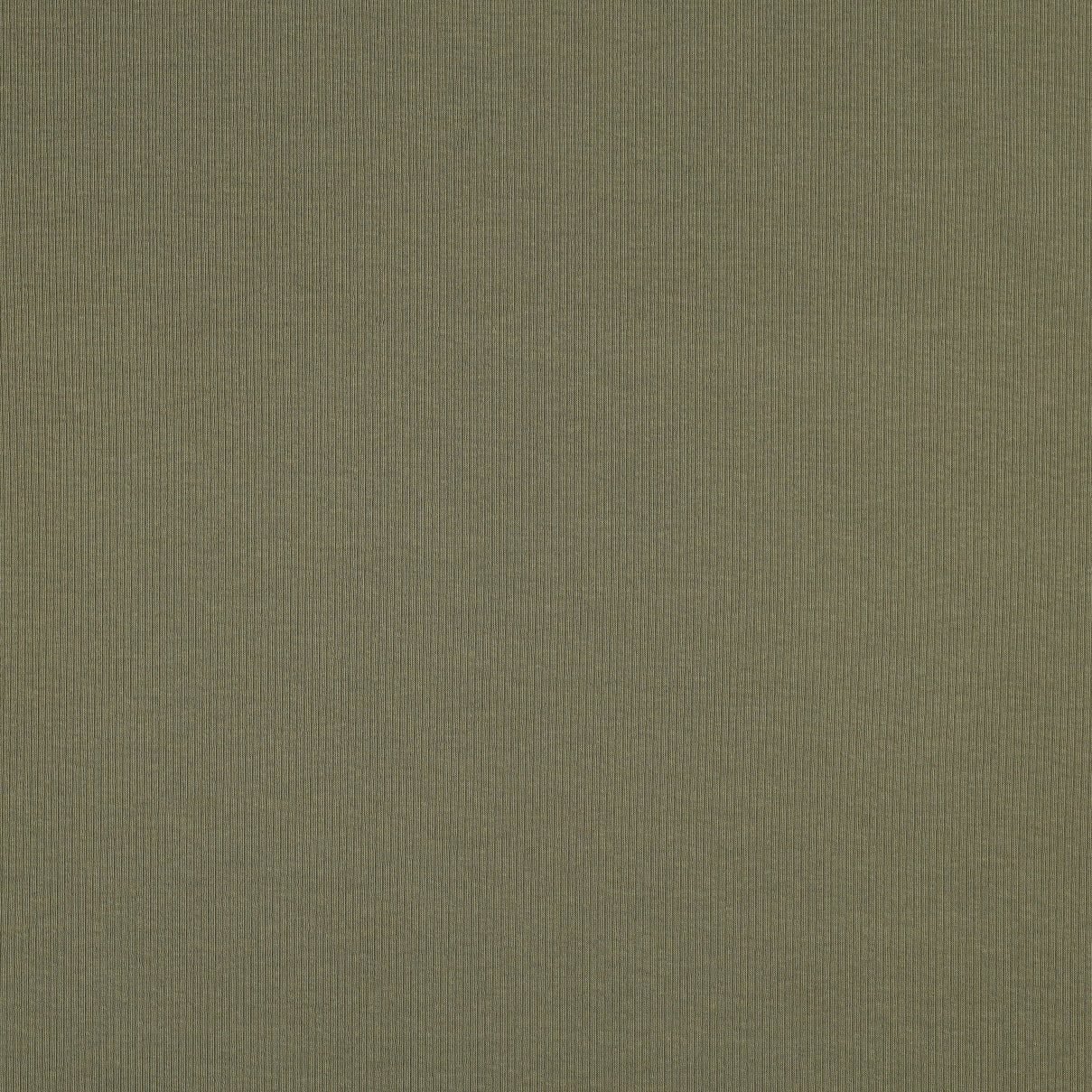 Ribbed cotton jersey (RIB JERSEY) - olive green 240 g/m²