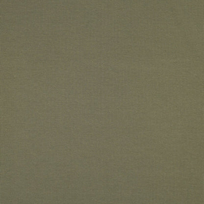 Ribbed cotton jersey (RIB JERSEY) - olive green 240 g/m²
