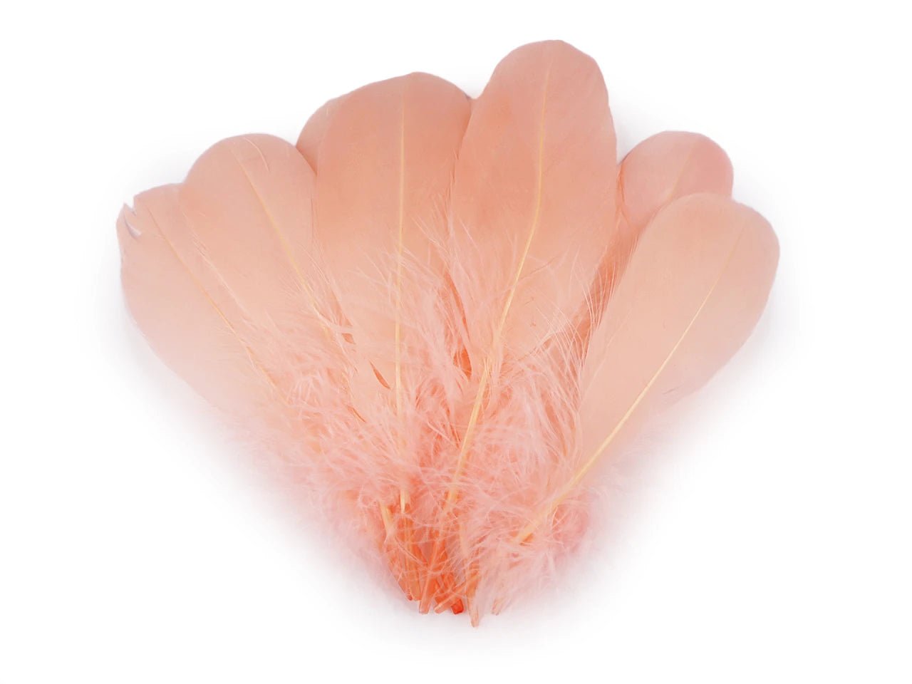 Goose feathers (14 - 18 cm) - apricot