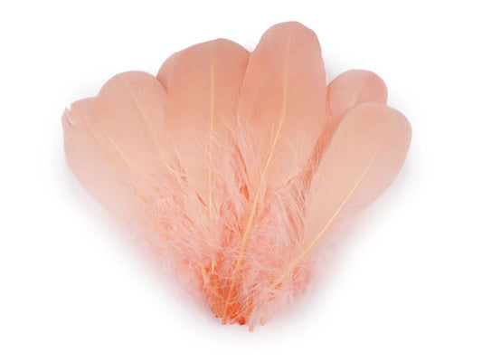 Goose feathers (14 - 18 cm) - apricot