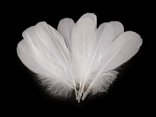 Goose feathers (14 - 18 cm) - white
