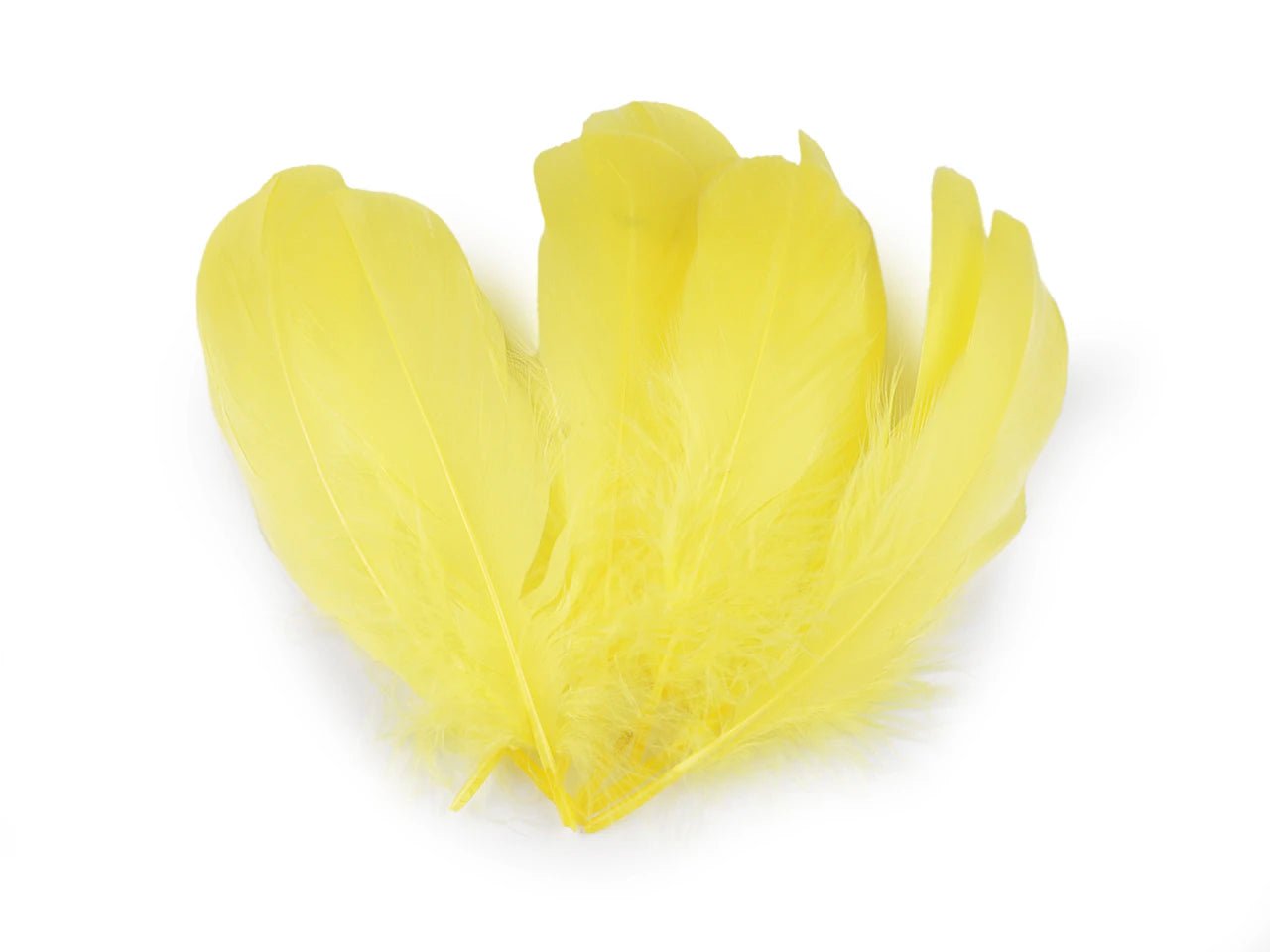 Goose feathers (14 - 18 cm) - yellow