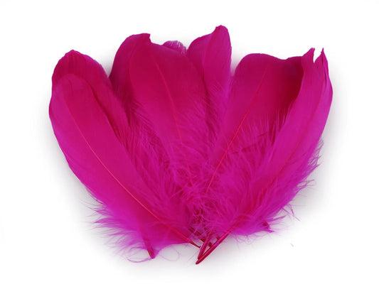 Goose feathers (14 - 18 cm) - fuchsia